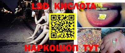 стаф Кандалакша
