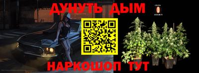 стаф Кандалакша