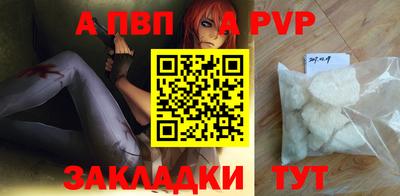 стаф Кингисепп
