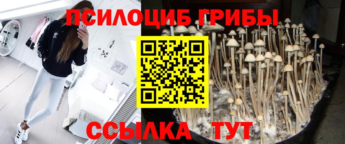 Лесной  Псилоцибиновые грибы GOLDEN TEACHER  Вход с VPN 